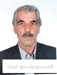 ربیع احمدوند